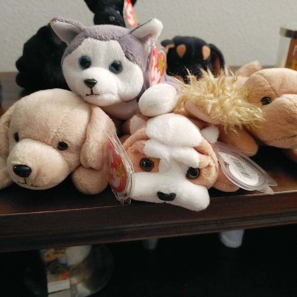 TY Beanie Babies Dog Collection NWT- See Prices!! - Picture 2 of 5